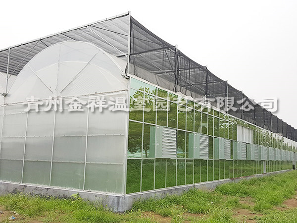 PC玻璃連棟溫室.jpg