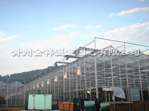 陽光板溫室