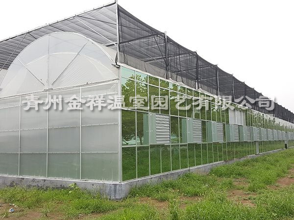 陽光板溫室
