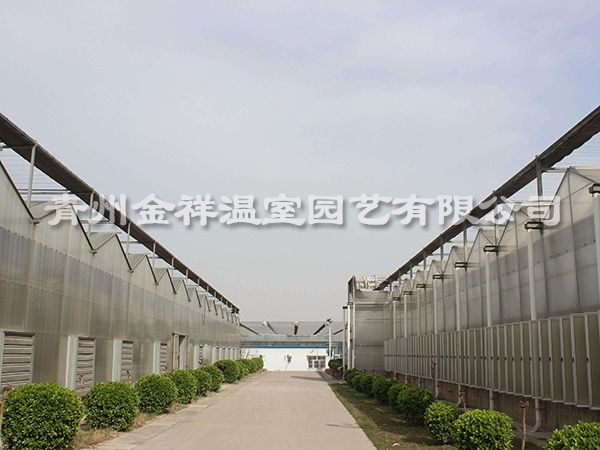 陽光板溫室