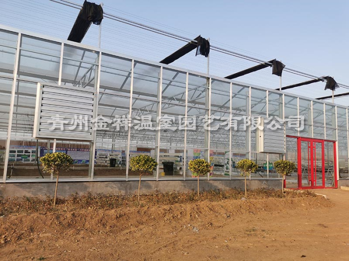 玻璃溫室大棚 (14).jpg